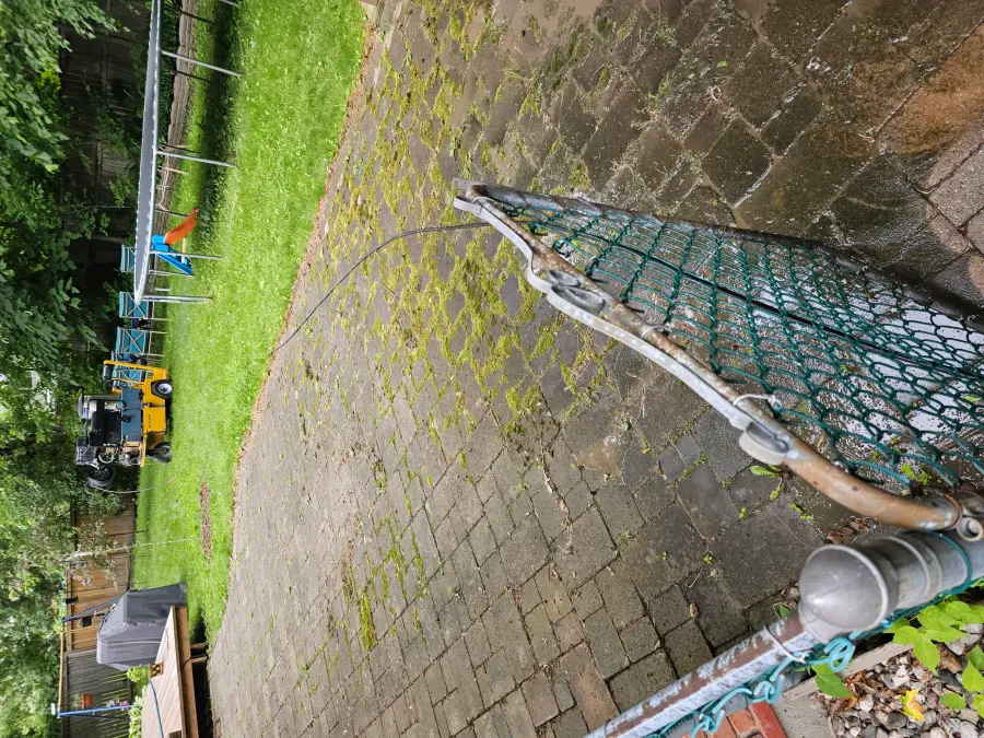 Steam wand treating moss and weeds along a paver path