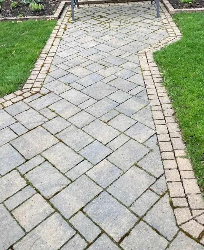 Faded walkway with mossy joints before sealing