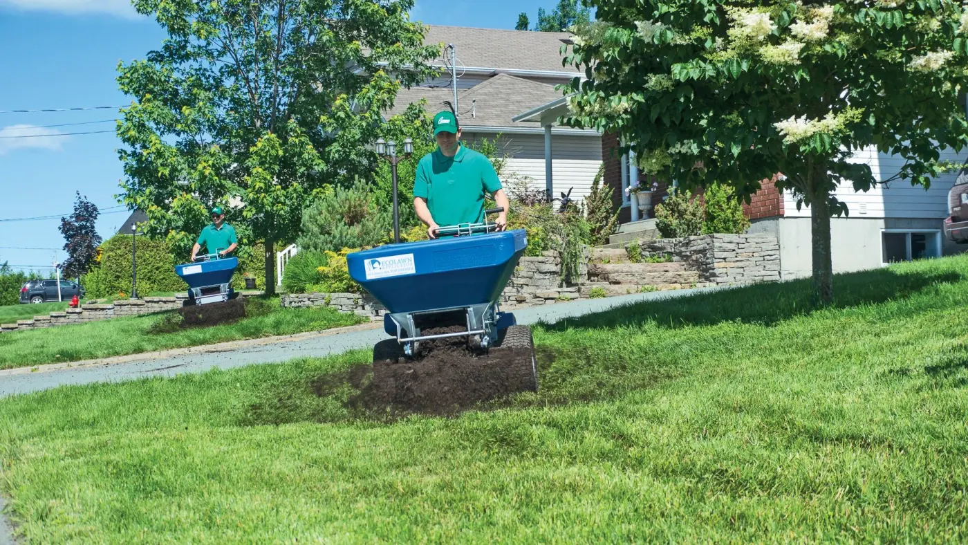 Compost topdressing being spread with EcoLawn spreaders