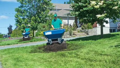 Compost topdressing in progress with EcoLawn spreaders