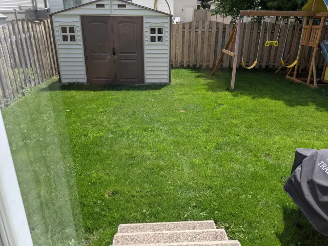 Thick green backyard lawn after a full renovation