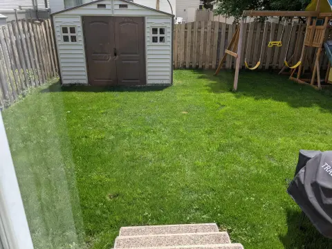 Thick green backyard lawn after a full renovation