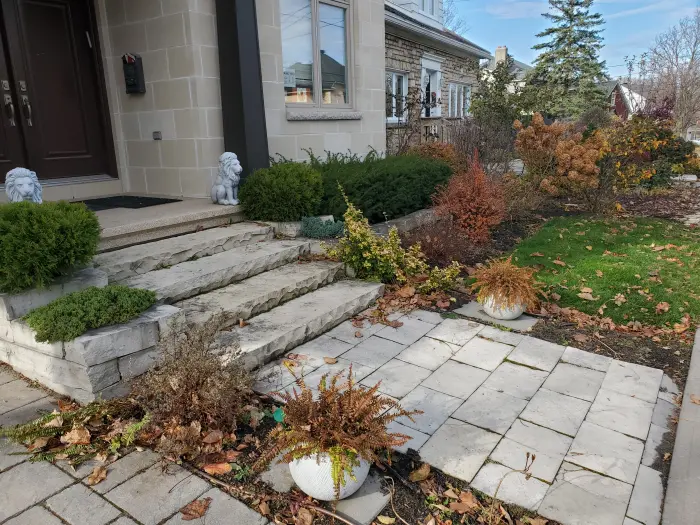 Front entry walkway cluttered with dead leaves and untrimmed shrubs