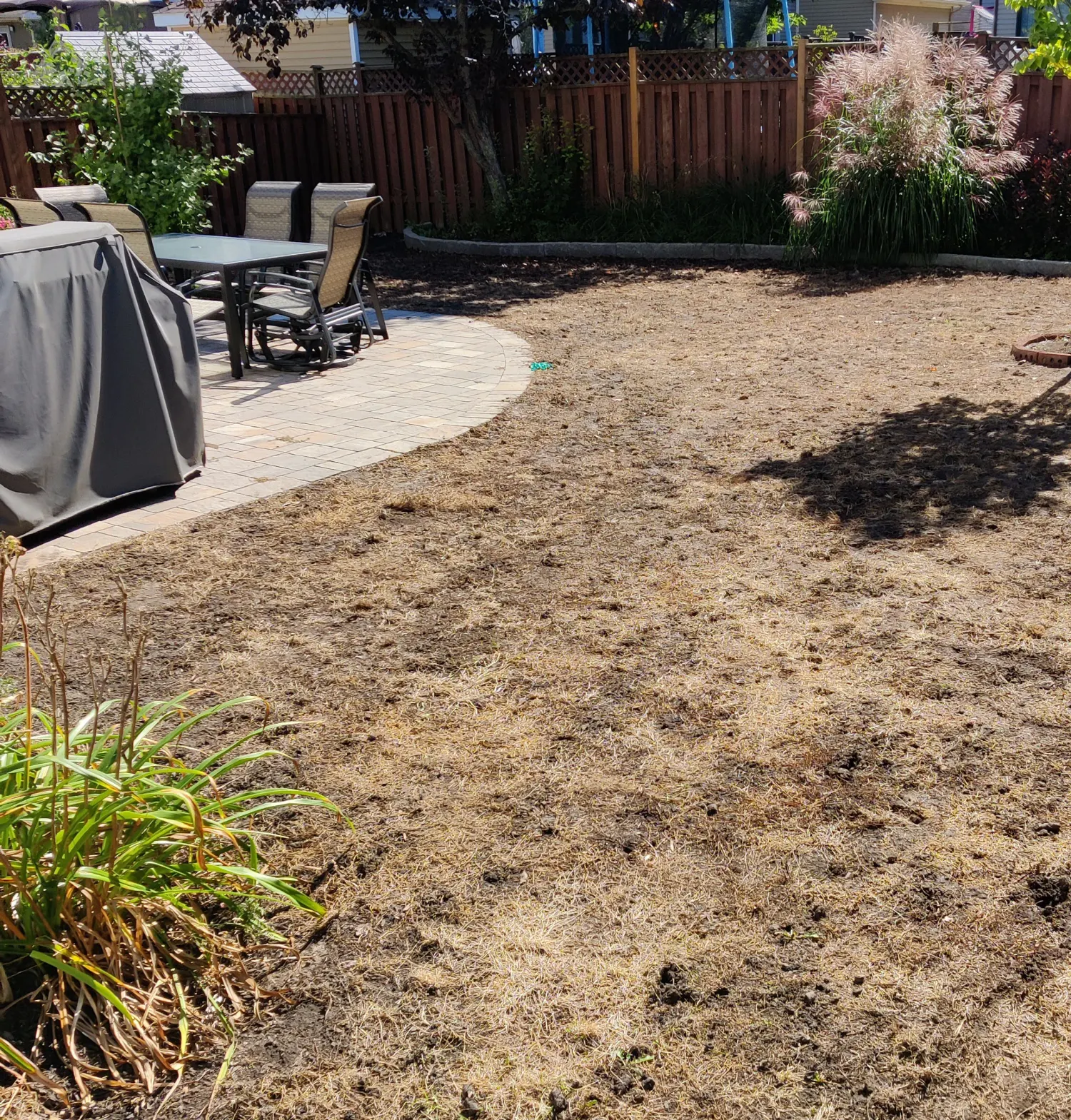 Backyard lawn terminated down to bare soil after saturated steam treatment, ready for renovation