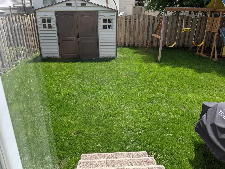 Lush new backyard lawn beside shed and playset after renovation