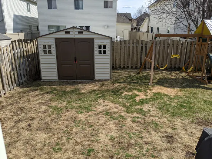 Worn, thin backyard lawn with shed and swingset before renovation