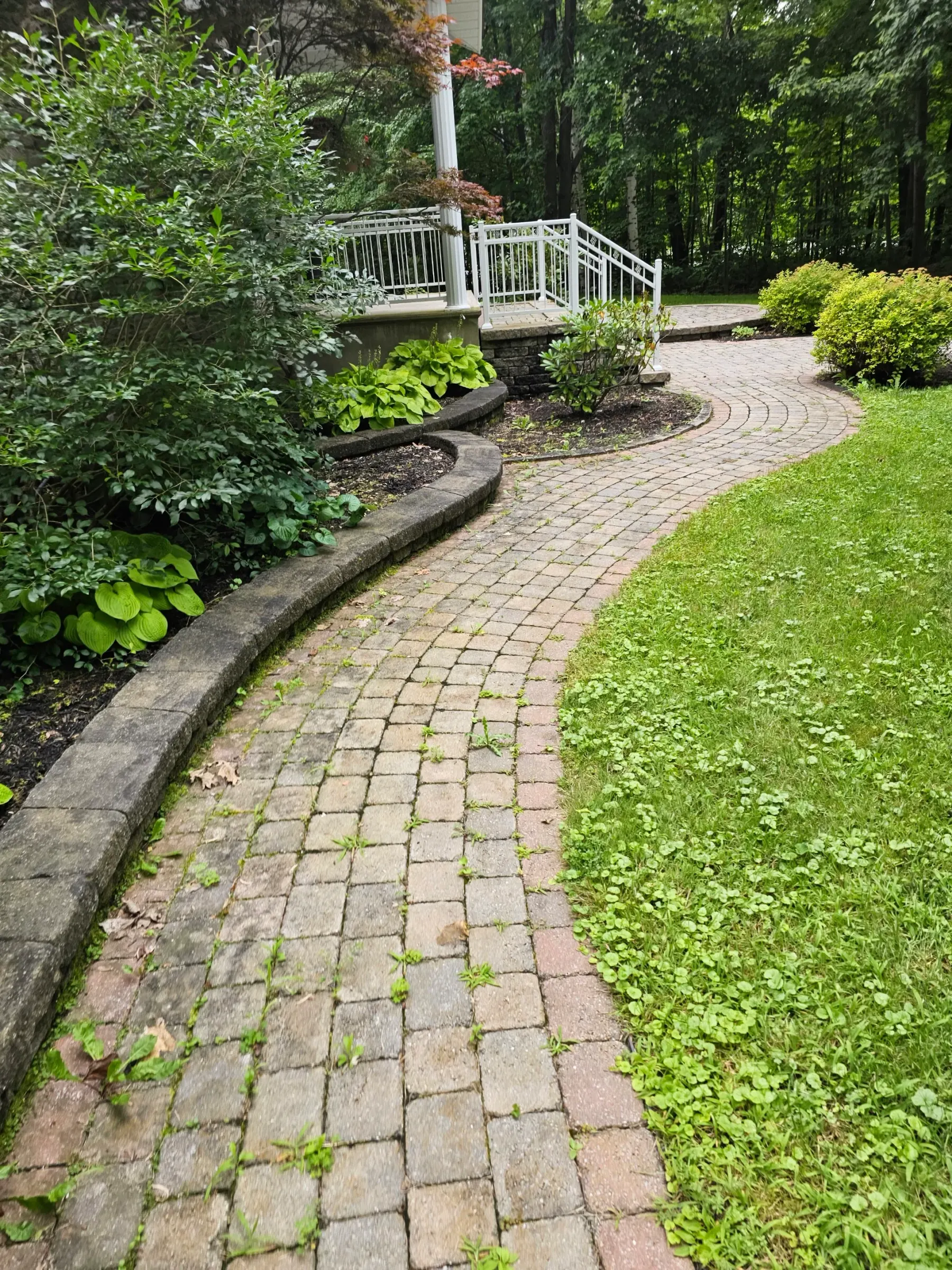Curved garden-wall walkway with weeds established in every joint
