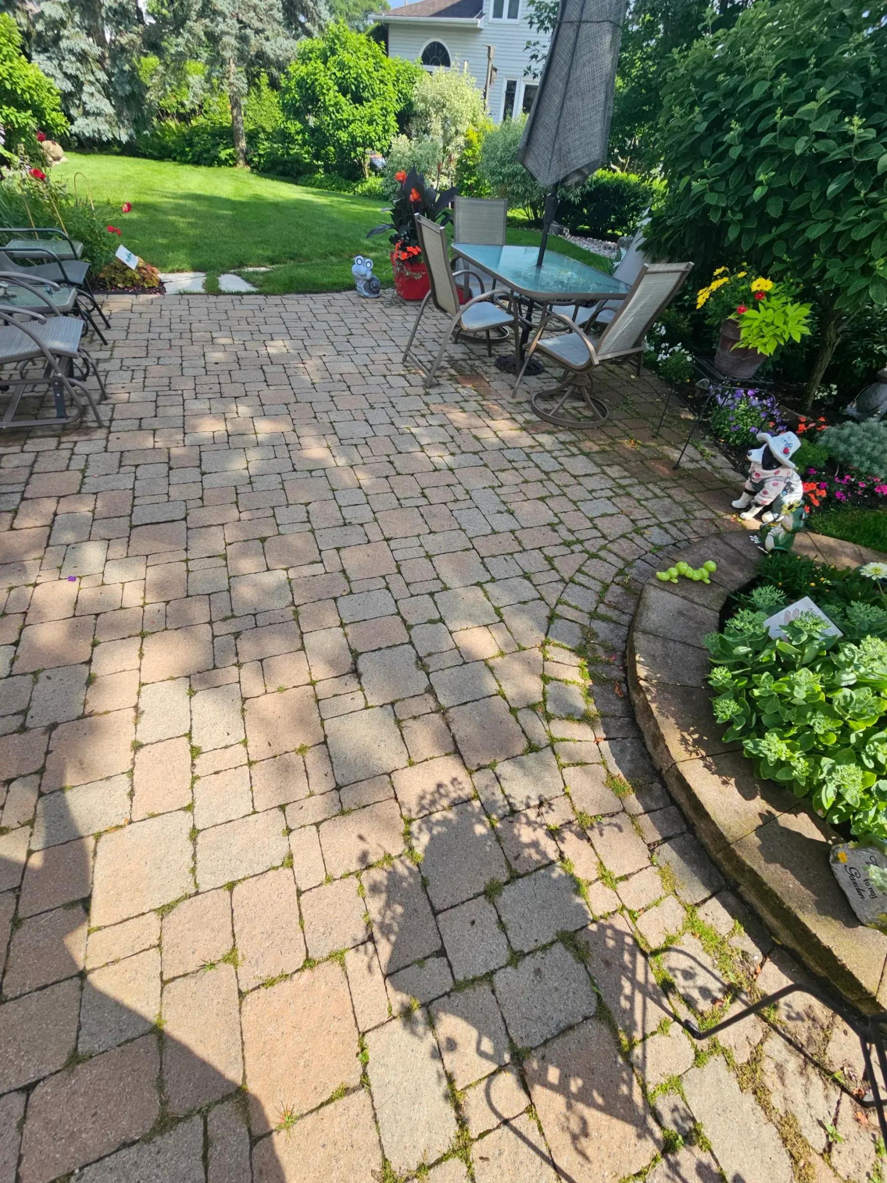 Backyard patio with dining set — moss-filled joints, faded pavers