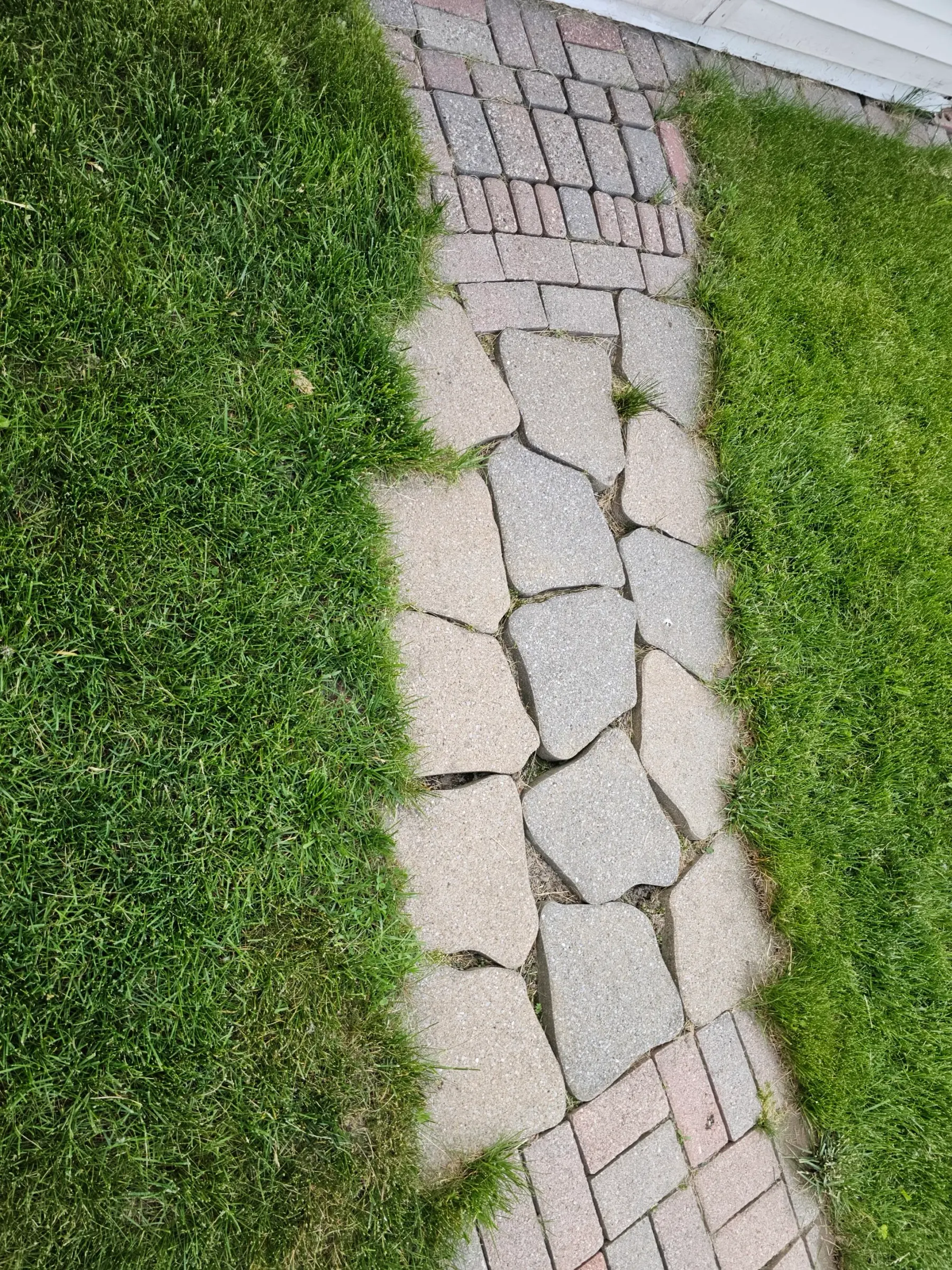Flagstone path with heaved stones and wide open gaps, grass invading